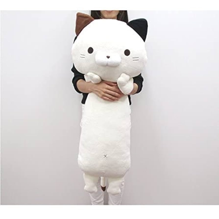 ミムラさん ﾅﾕﾐ❁⃘*.ﾟ | 2025.6.9 ~~~Okinawa Trip~~~ 美ら海水族館&ブルー